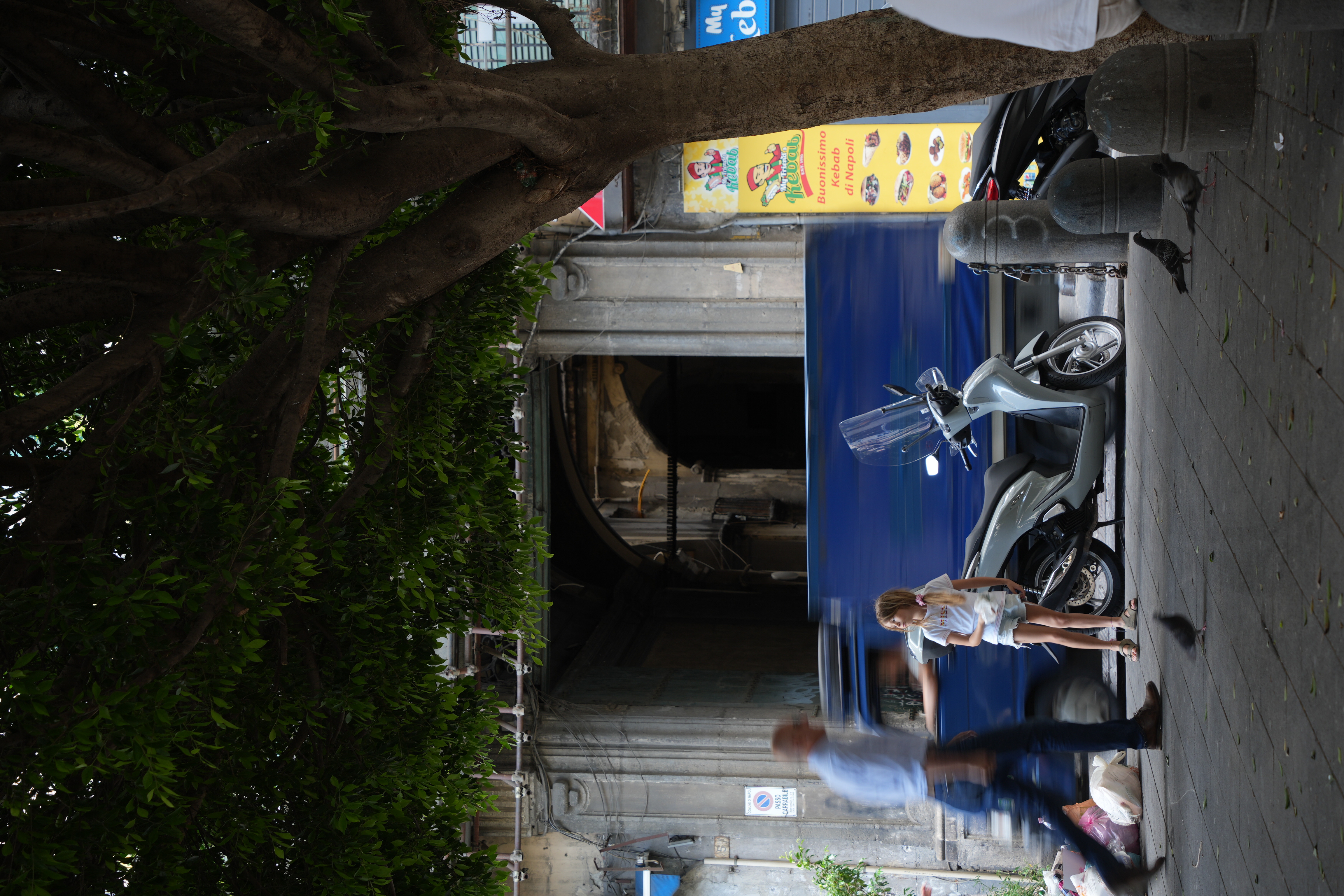 Dsc09211 / dsc09211